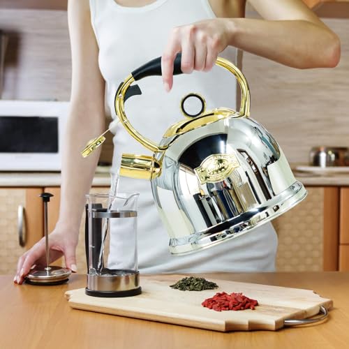 Tea Kettle for Stovetop