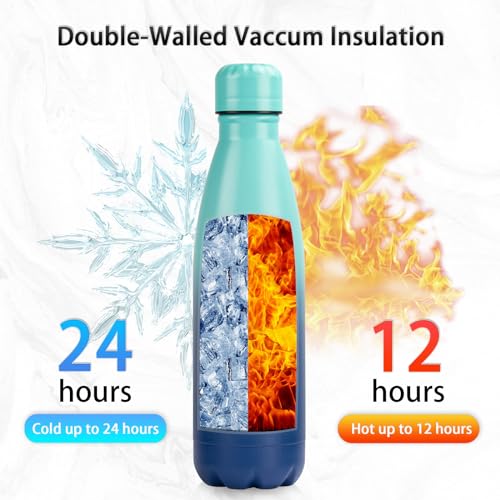 Insulated Water Bottle (2 Count)