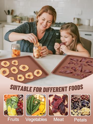 3Pcs Silicone Food Dehydrator Sheets with Edge