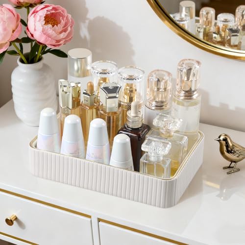 Desk Organizer Tray