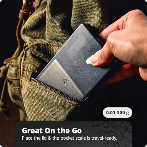 Precision Pocket Scale