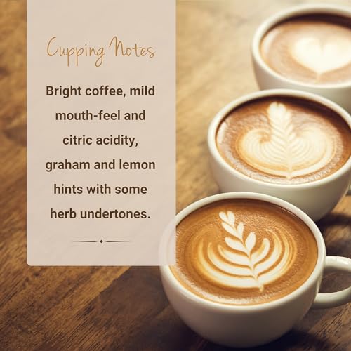 Guatemala Antigua Medium Roast Single Origin Coffee Pods (10 Count)