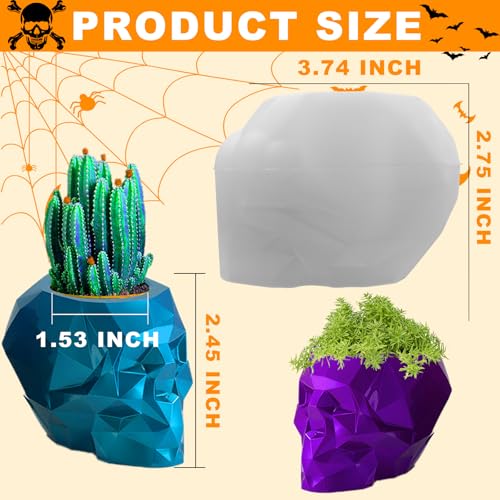 Skull Resin Mold