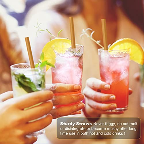 5 Inch 600pcs Cocktail Straws Made from Sugarcane Fiber Plastic (600 Count)