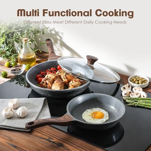 Nonstick Frying Pan Skillet