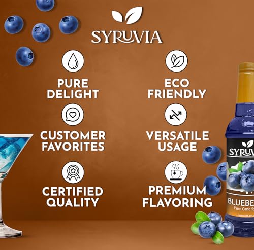 Blueberry Syrup (25.4 Fl Oz)