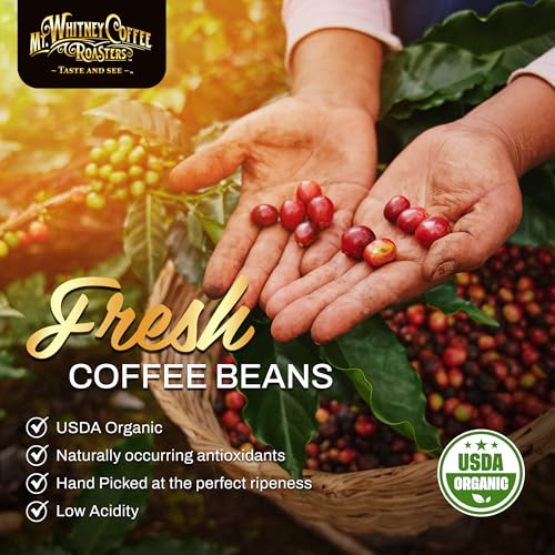 Base Camp Blend Medium Dark Roast Coffee (80 Ounce)