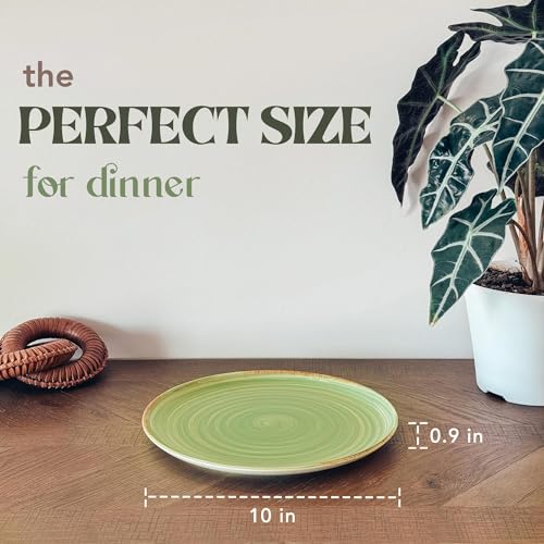 Ceramic Helix Swirl Dinner Plates Set of 6 (6 Count)