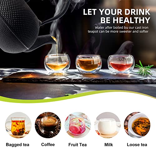 Japanese Tetsubin Tea Kettle Cast Iron Teapot with Stainless Steel Infuser 60 oz