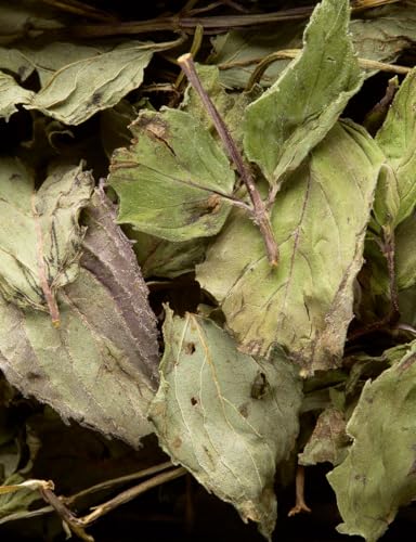 Sachets Menthe Poivrée Tea Bags (24 Count)