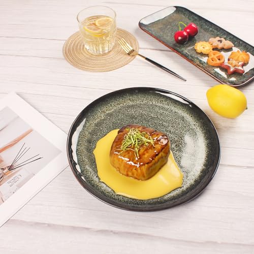 Ceramic Dinner Plates Dish Set (4 Count)