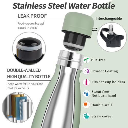 Insulated Water Bottle
