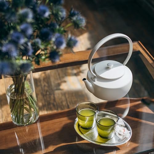 MoonKettle Electric Kettle with Temp Control