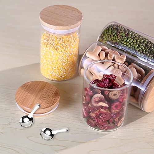 6 Piece Small Stainless Steel Spice Spoons (6 Count)