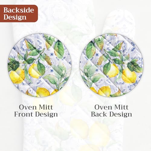 Maison d'Hermine Oven Gloves 100% Cotton Oven Mitt
