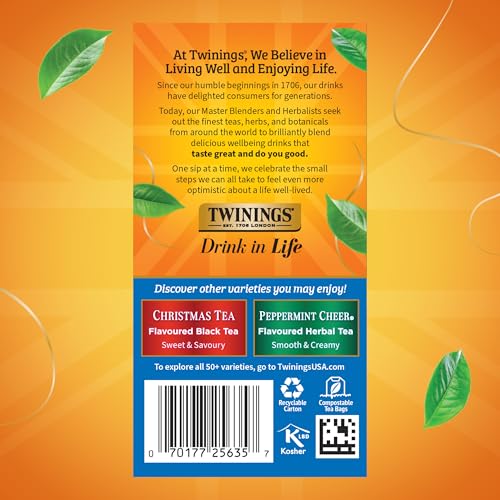 Winter Spice Camomile Apple Spiced Herbal Tea Bags (120 Count)