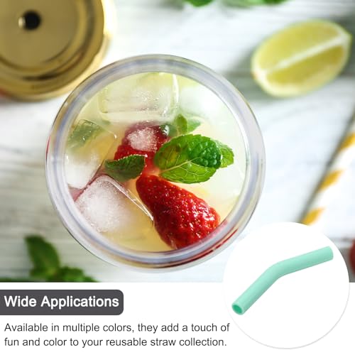 6Pcs Silicone Straw Tips (6 Count)