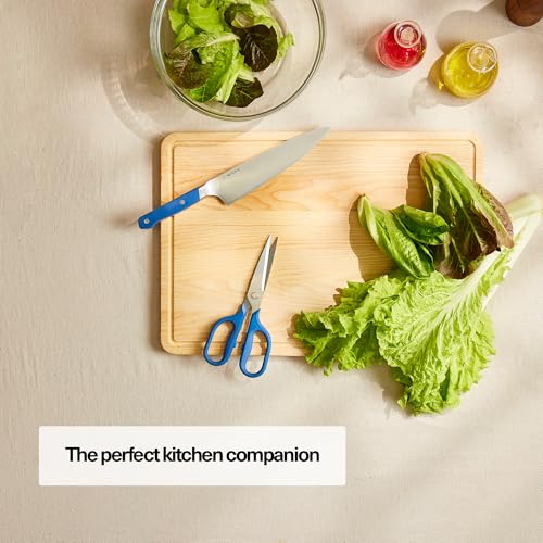 Heavy Duty Kitchen Shears