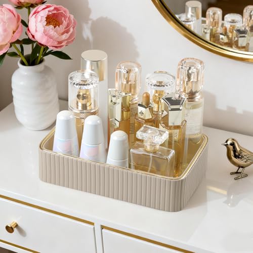 Desk Organizer Tray