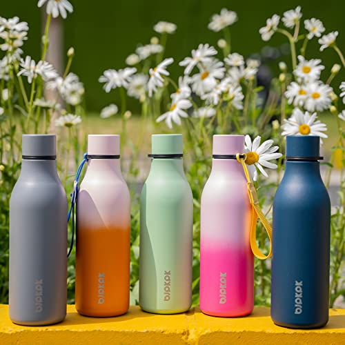 18oz Insulated Water Bottle