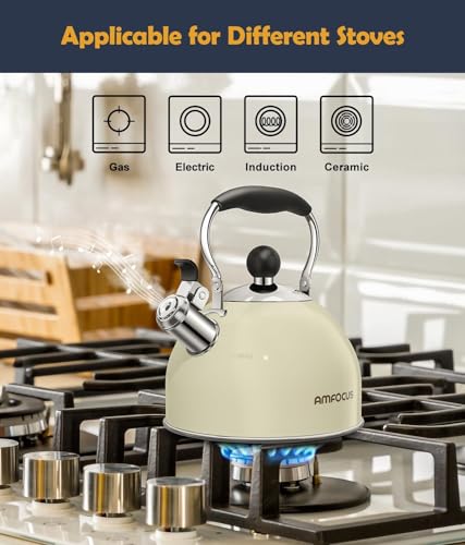 Tea Kettle 2 Quart Stainless Steel Whistling Tea Kettle