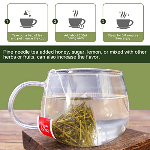 Organic Pine Needle Tea Bags (30 Count)
