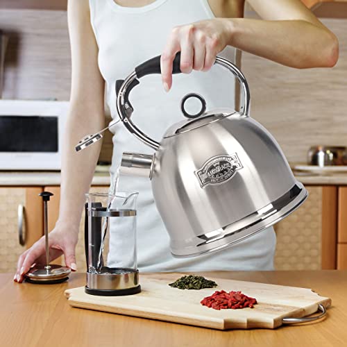 Tea Kettle for Stovetop
