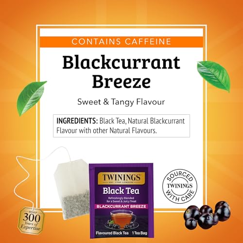 Blackcurrant Breeze Black Tea Individually Wrapped Bags (20 Count)