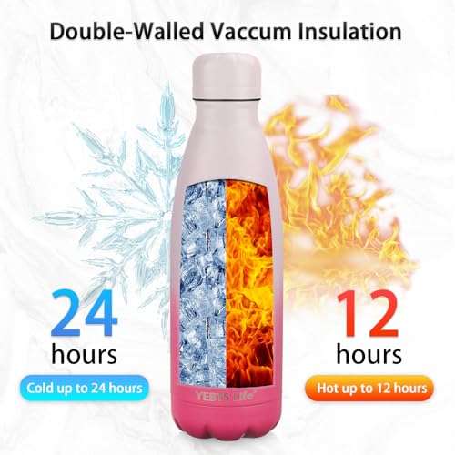 Insulated Water Bottle