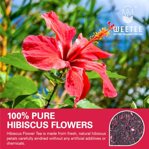 Hibiscus Tea Bags 100ct (100 Count)