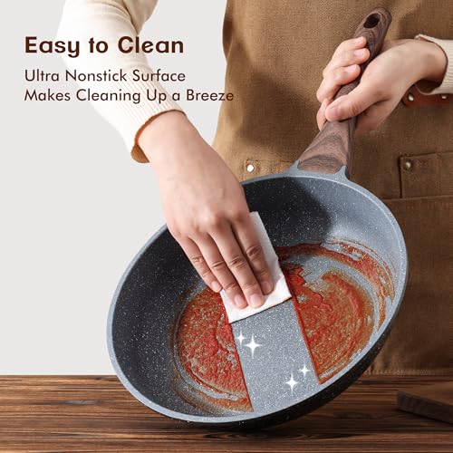 Nonstick Frying Pan Skillet