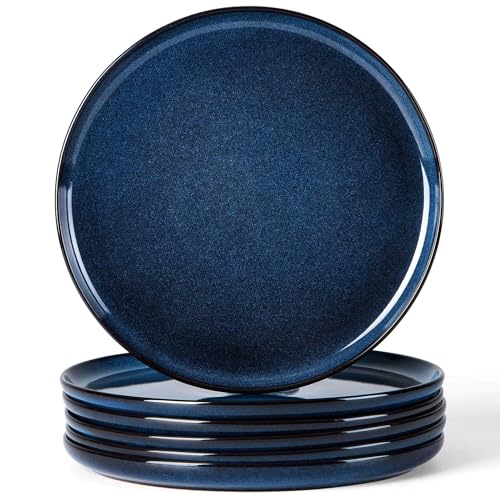 6 Piece Stoneware Dinner Plates Set