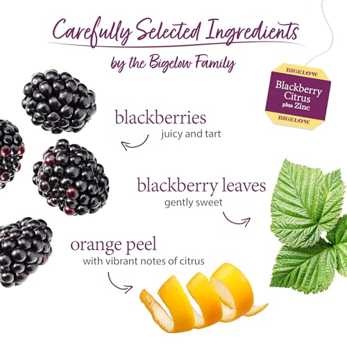 Blackberry Citrus Plus Zinc Herbal Tea (108 Count)