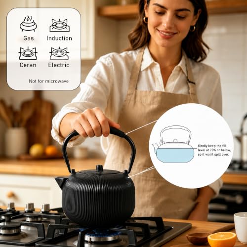 Cast Iron Teapot Set with 2 Cups