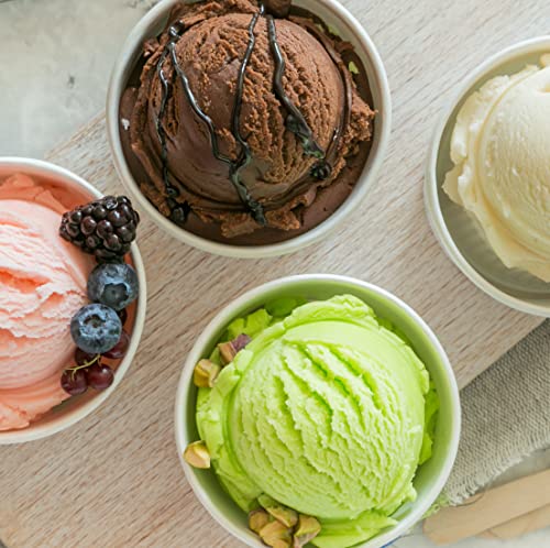 16oz Ice Cream Containers (4 Count)