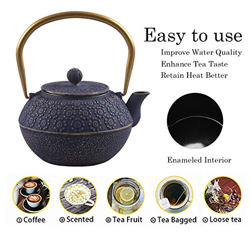 Teapot Cast Iron Tea Kettle for Stovetop Safe Coated with Enameled Interior