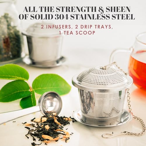Tea Infuser Set of 2 with Tea Scoop & Drip Trays