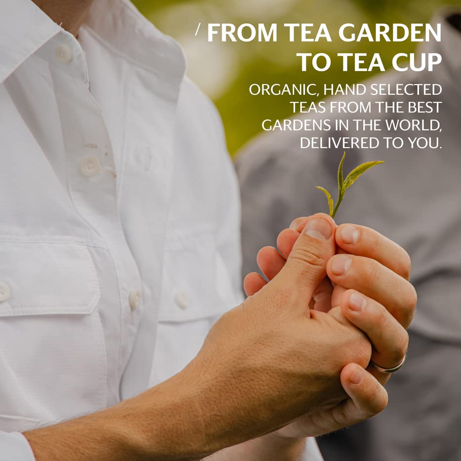 RISE Wellness Organic Tea Blend (100 Count)