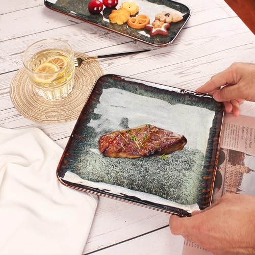 Ceramic Dinner Plates Dish Set (4 Count)