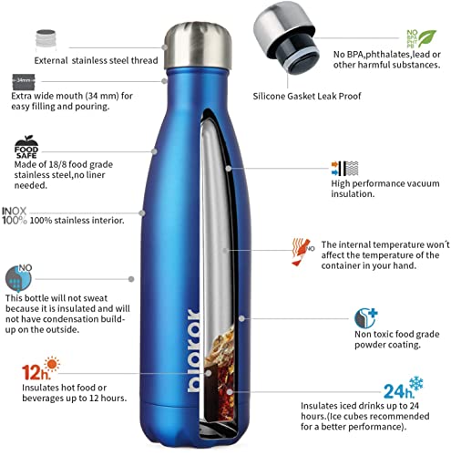 17 oz Insulated Water Bottle