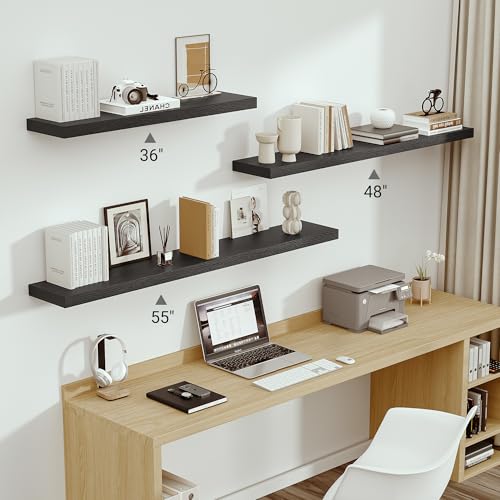 Deep Floating Shelves 55x10” Set of 1