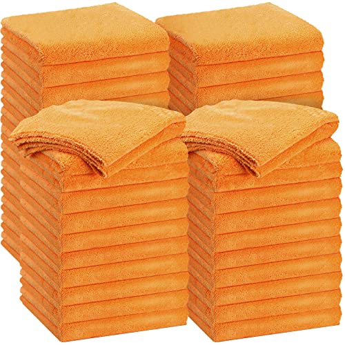 30 Pcs 16 x 16 Inch Edgeless Microfiber Plush Towels for Cars Detailing Drying Wash Polishing Absorbent Cleaning Cloths