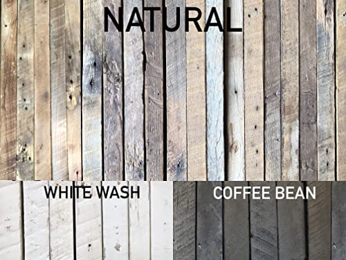 Accent Shelves (2 Count)