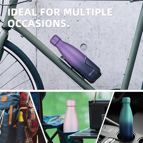 Insulated Water Bottle (2 Count)