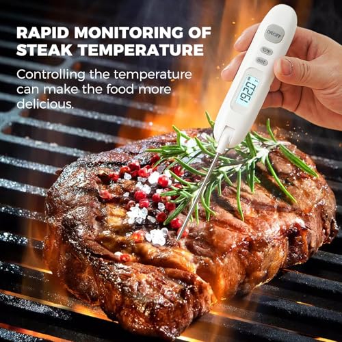 Meat Thermometer Digital
