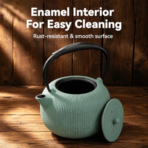 Cast Iron Teapot Set with 2 Cups