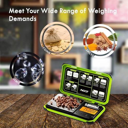 Precision Pocket Scale