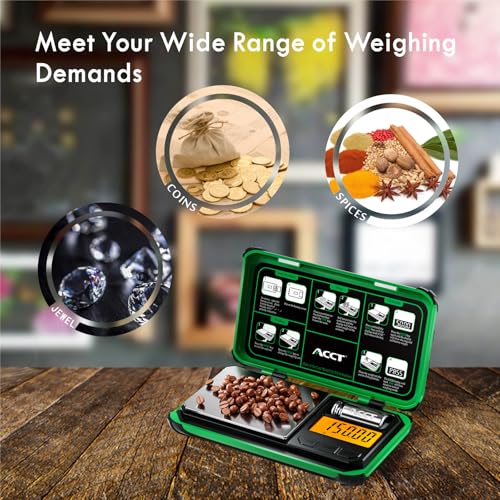 Precision Pocket Scale