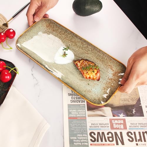 Ceramic Dinner Plates Dish Set (4 Count)