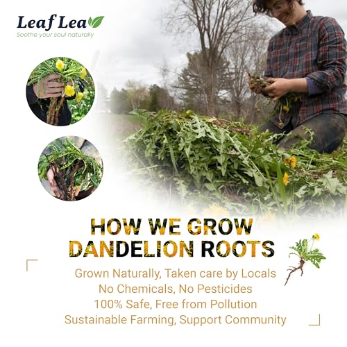 Dandelion Root Tea Bags (160 Count)
